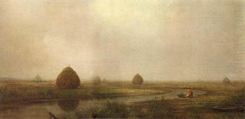 Martin Johnson Heade Jersey Marshes china oil painting image